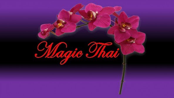 Magic-Thai Logo